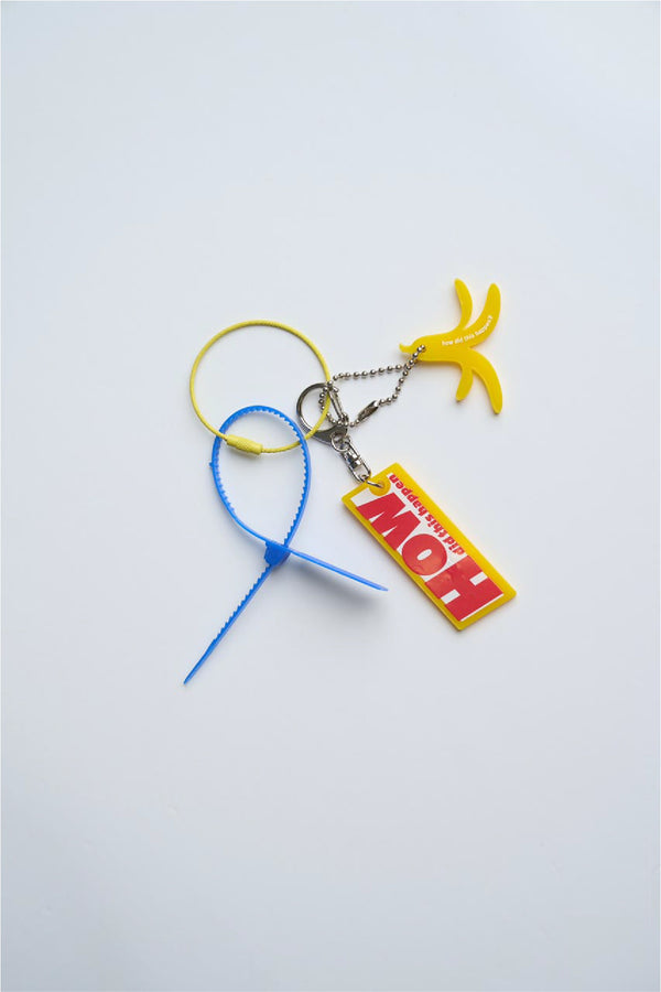 Howdidthishappen Keyholder